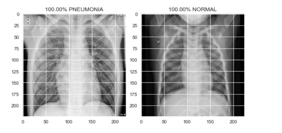                                                  Fig: Sample output of test set images