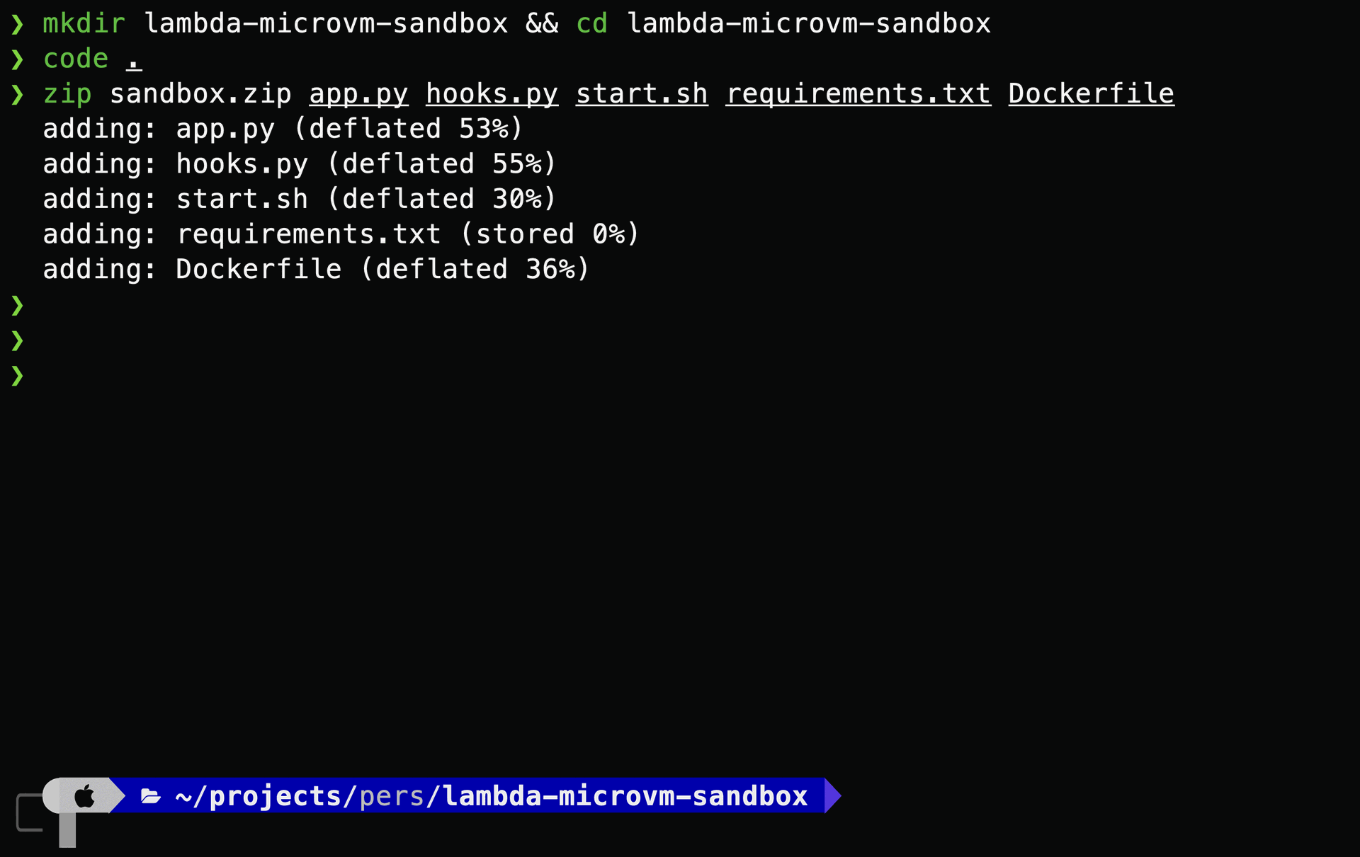 CLI Command Execution
