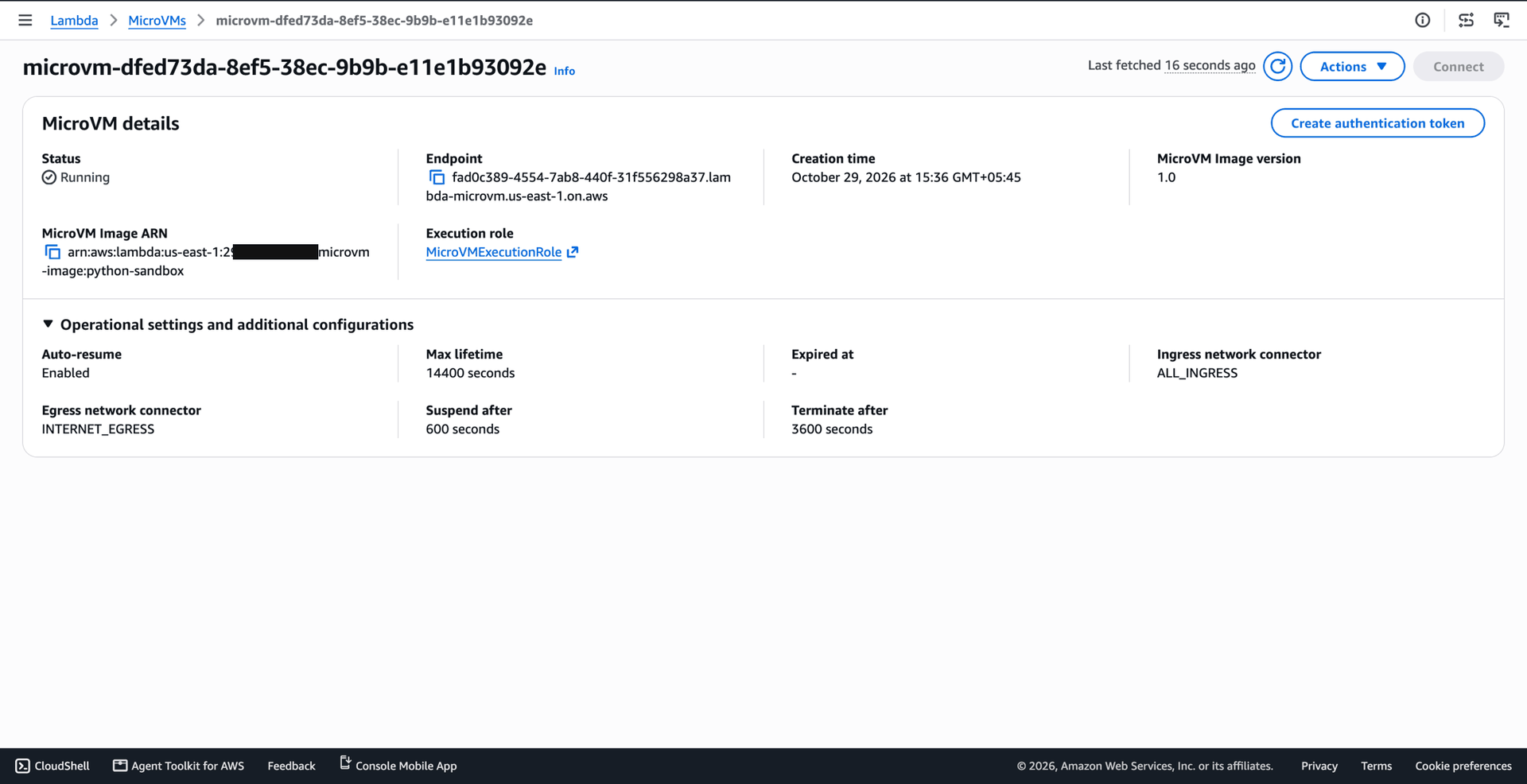 MicroVM details showing Running status, endpoint, execution role and the idle-policy and connector settings