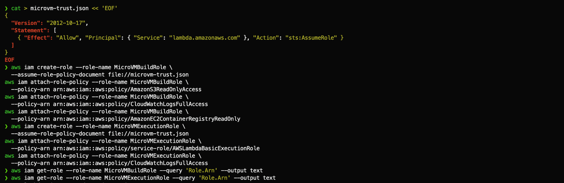 Recreating MicroVMBuildRole and MicroVMExecutionRole with the lambda.amazonaws.com trust policy